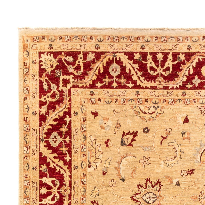 Ziegler Teppich - 383 x 271 cm - beige