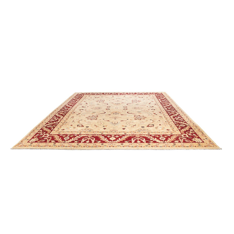 Ziegler Teppich - 383 x 271 cm - beige