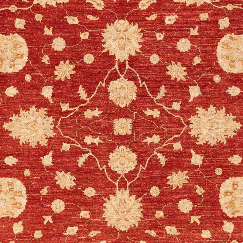 Ziegler Teppich - 360 x 268 cm - rot