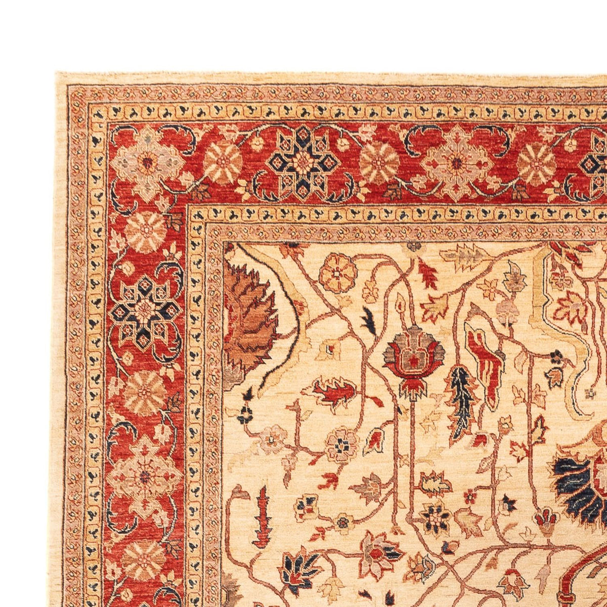 Ziegler Teppich - 365 x 276 cm - beige