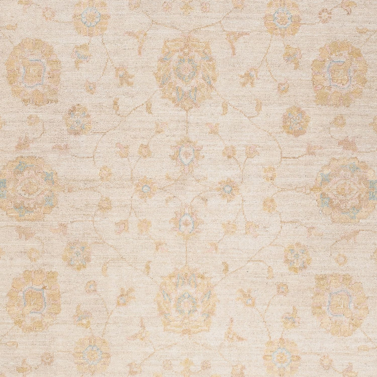 Ziegler Teppich - 243 x 171 cm - creme