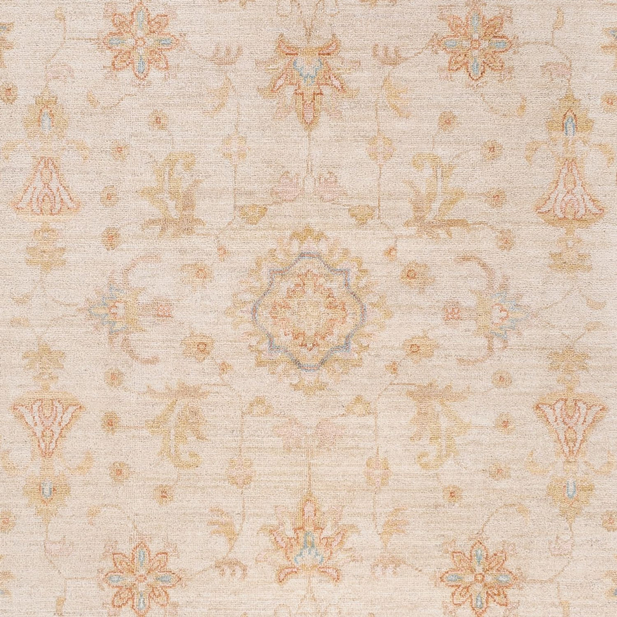 Ziegler Teppich - 243 x 170 cm - beige
