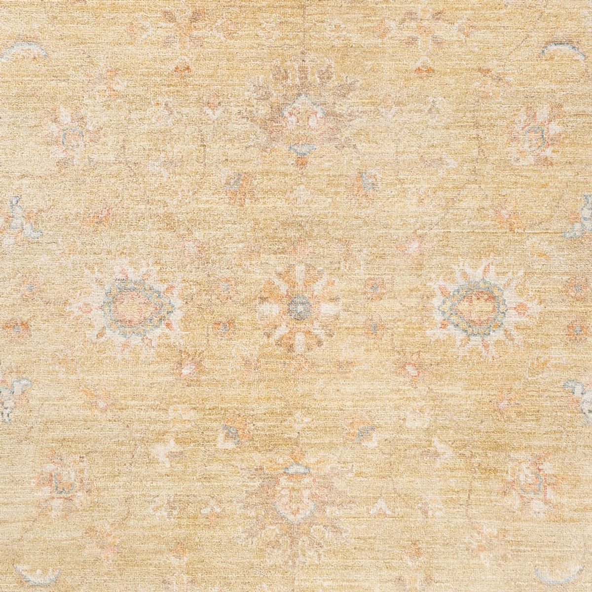 Ziegler Teppich - 237 x 172 cm - beige