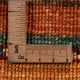 Ziegler Teppich - Shal - 143 x 100 cm - mehrfarbig