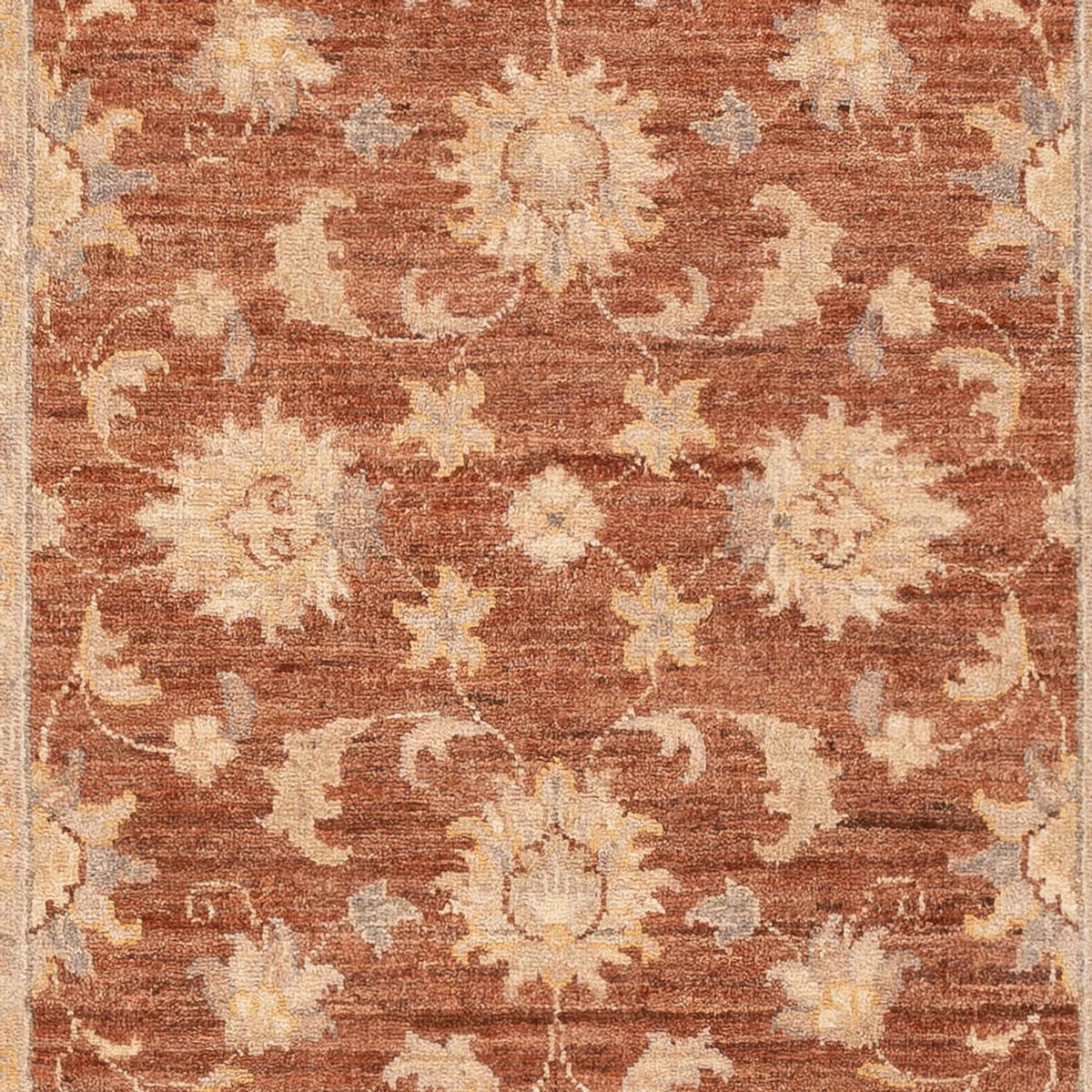 Ziegler Teppich - 148 x 103 cm - hellbraun