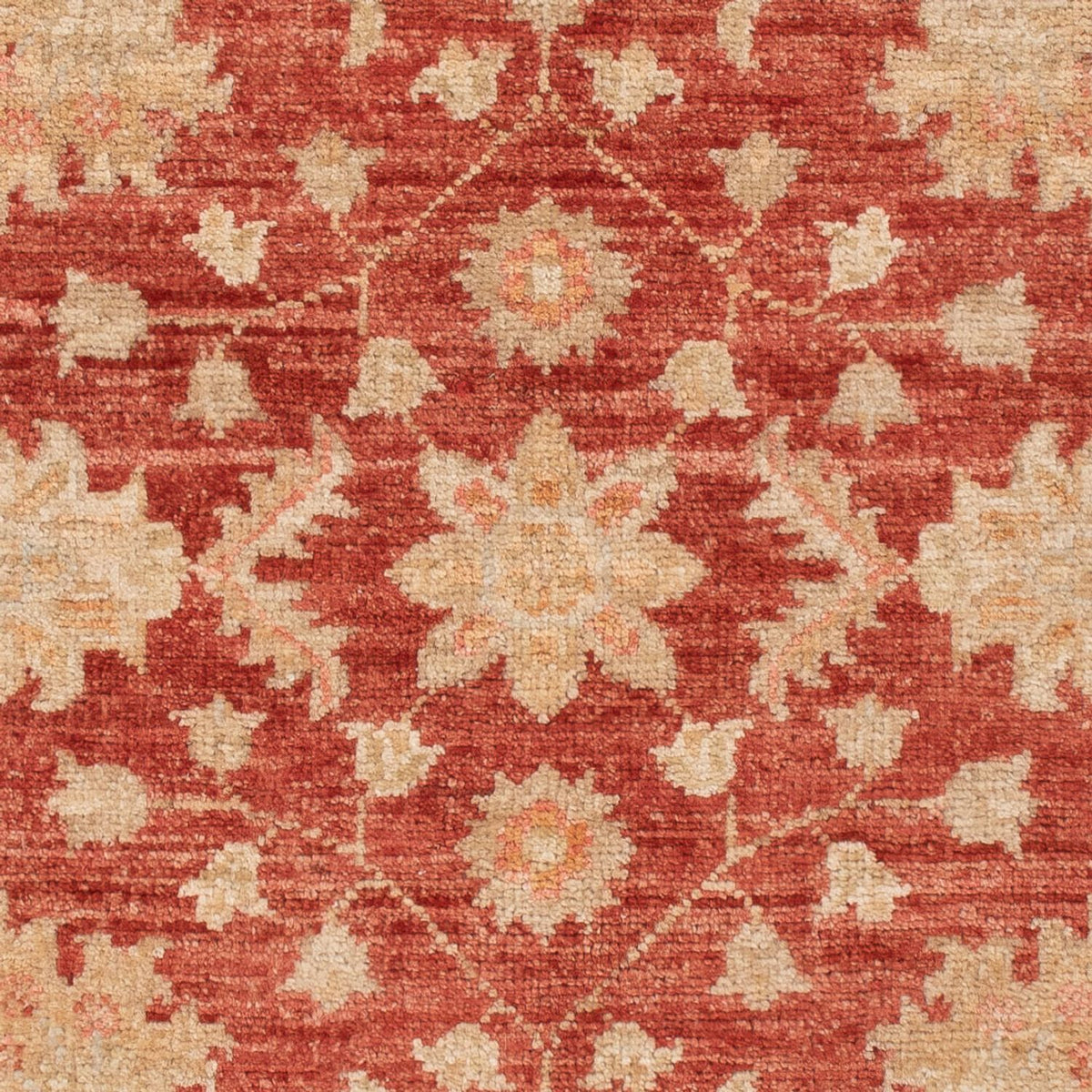 Ziegler Teppich - 125 x 80 cm - dunkelrot