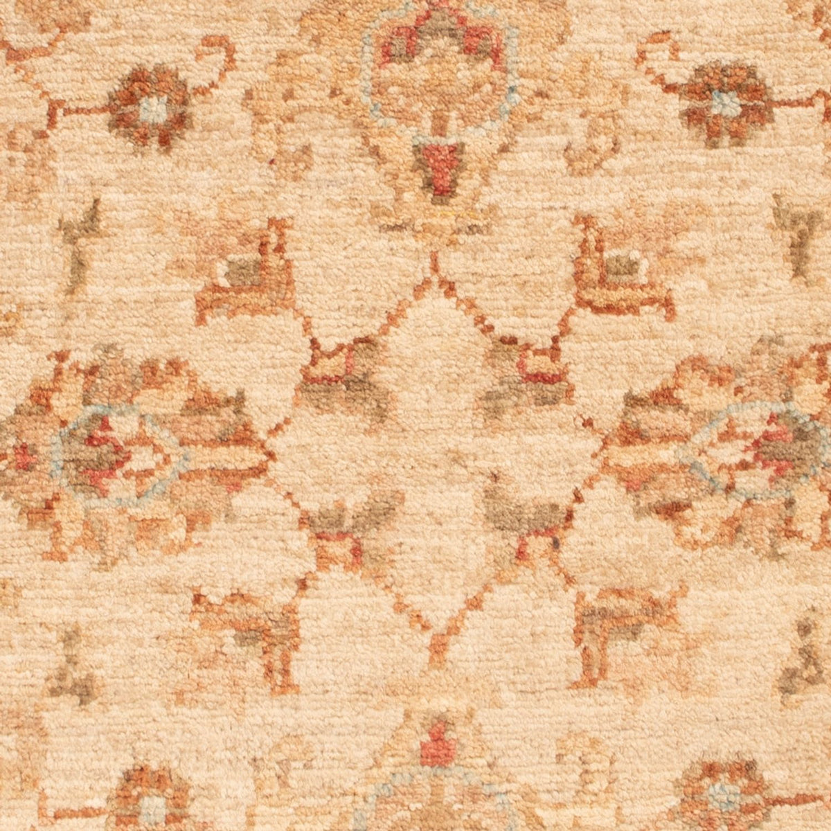 Ziegler Teppich - 80 x 59 cm - beige