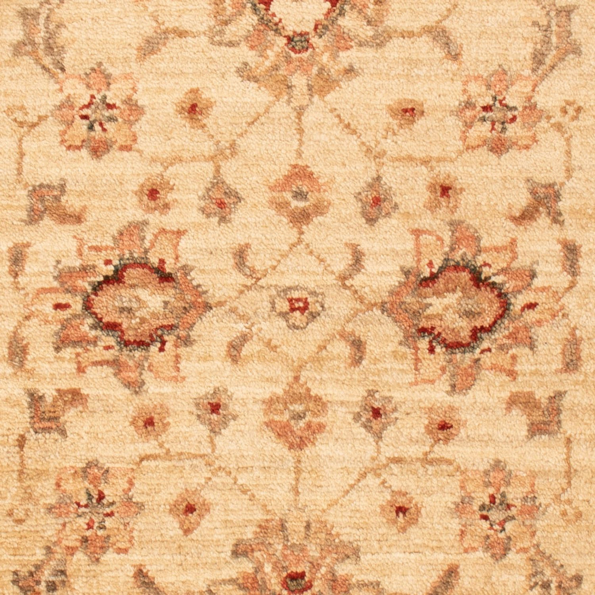 Ziegler Teppich - 90 x 60 cm - beige