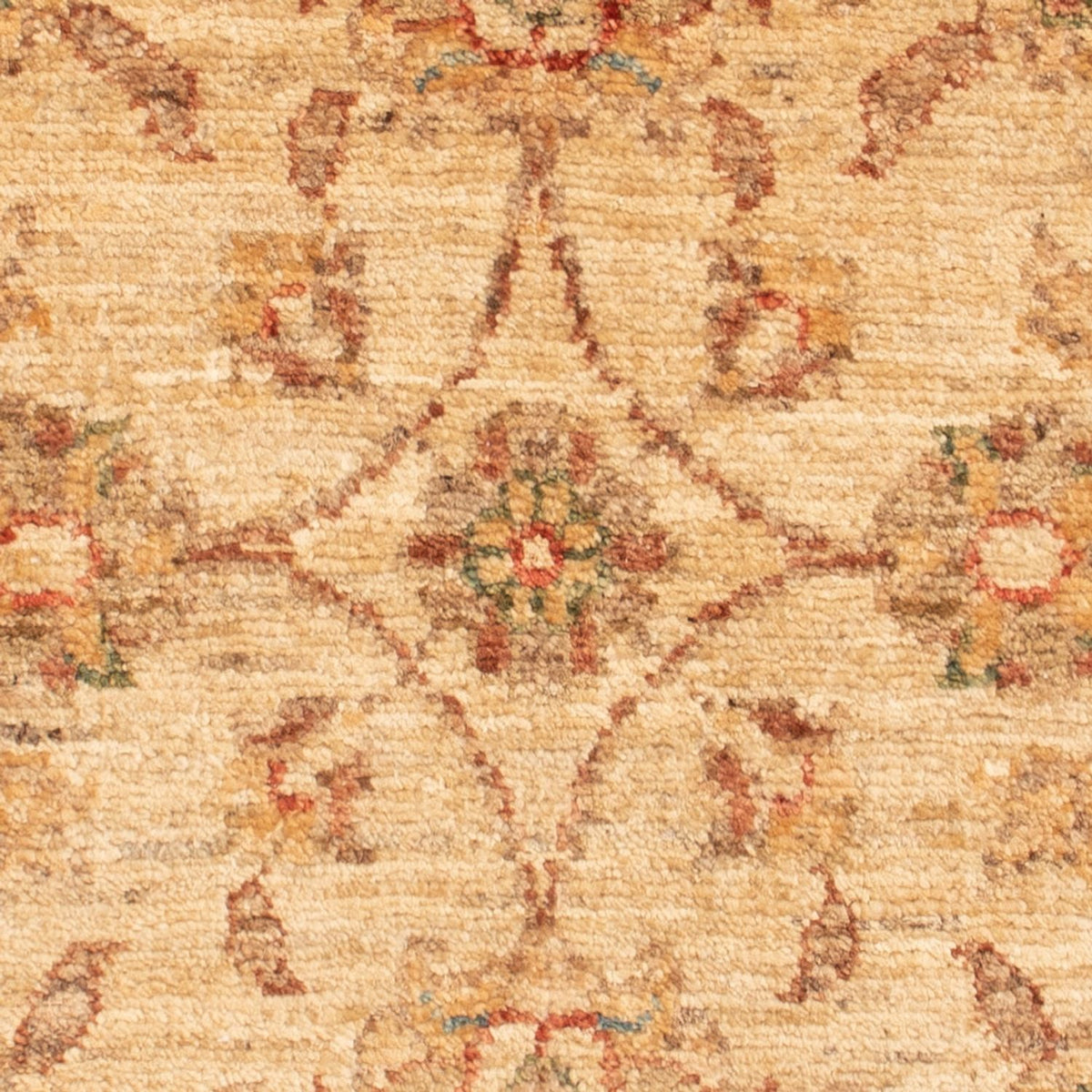 Ziegler Teppich - 70 x 50 cm - beige