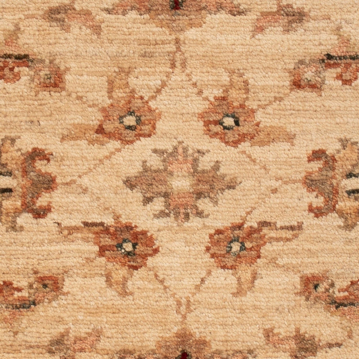 Ziegler Teppich - 65 x 55 cm - beige