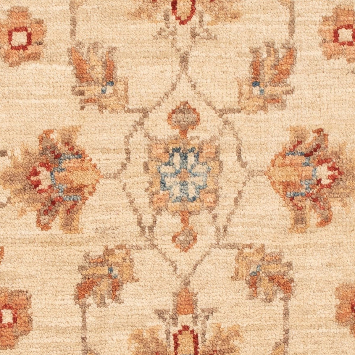 Ziegler Teppich - 70 x 51 cm - beige