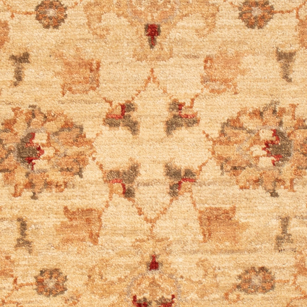 Ziegler Teppich - 90 x 61 cm - beige