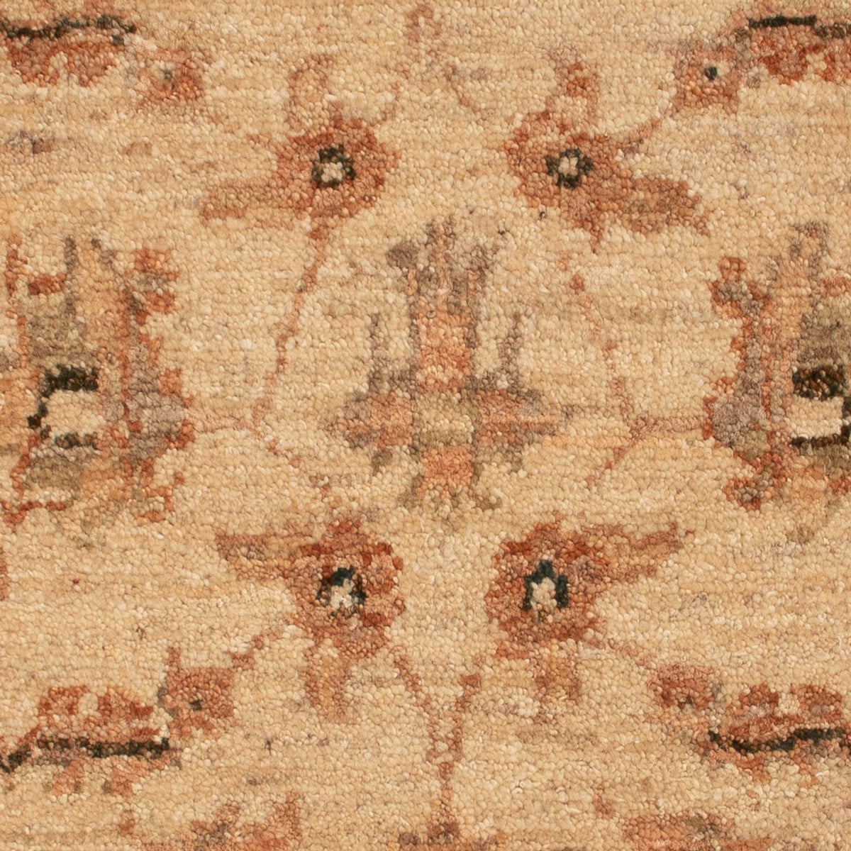 Ziegler Teppich - 73 x 53 cm - beige