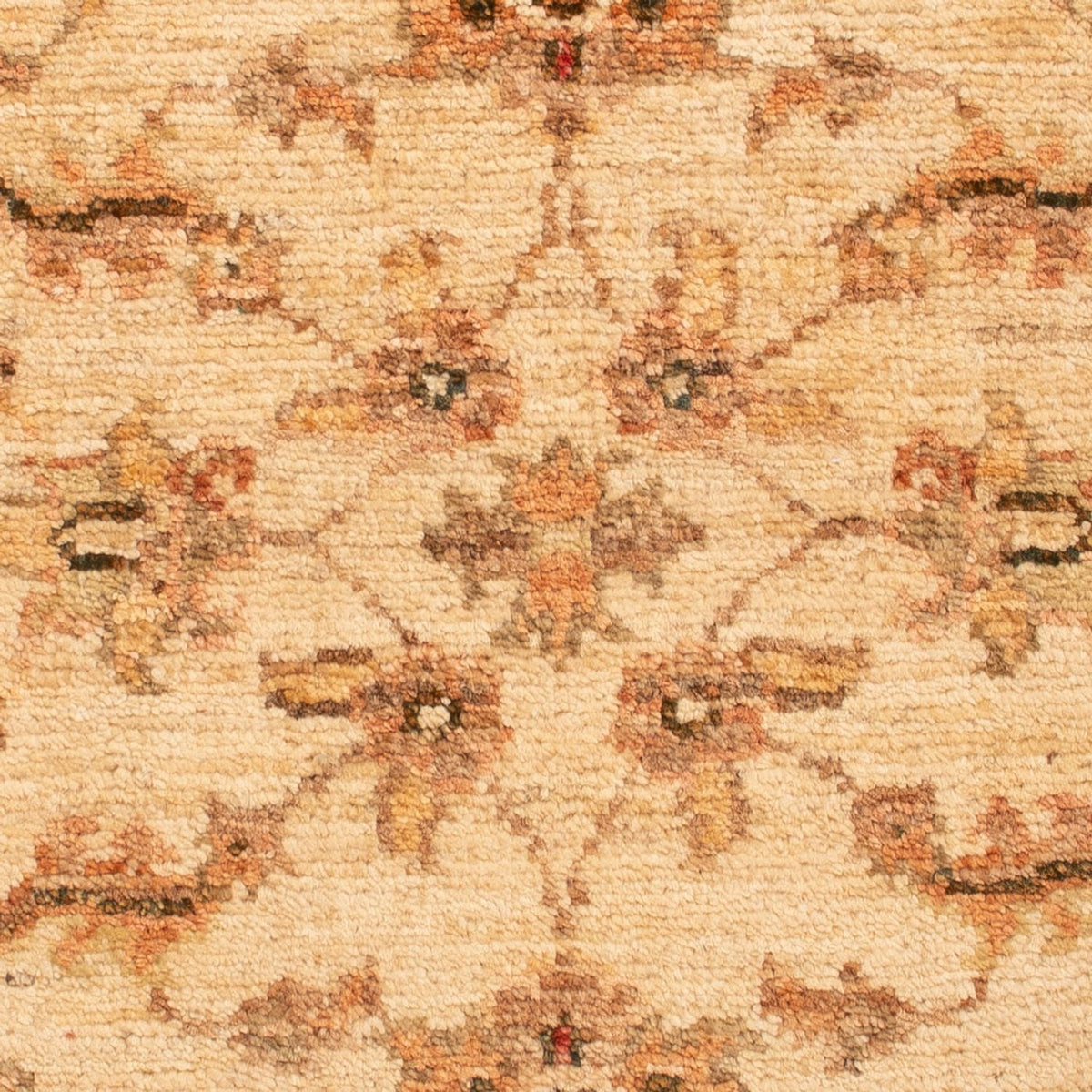 Ziegler Teppich - 65 x 50 cm - beige