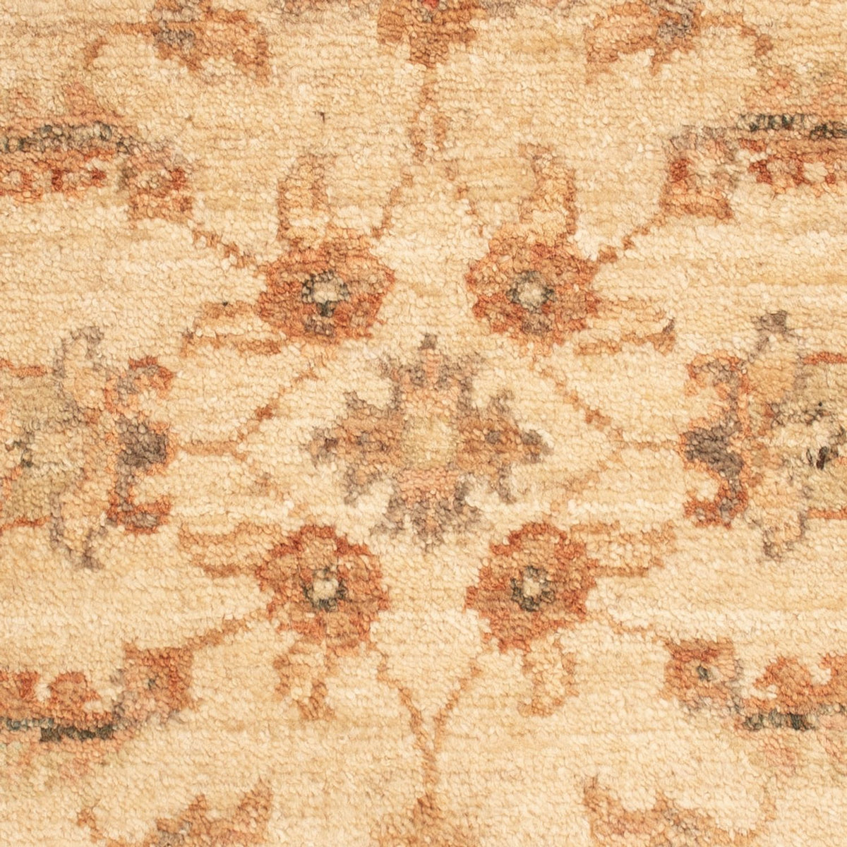 Ziegler Teppich - 65 x 50 cm - beige