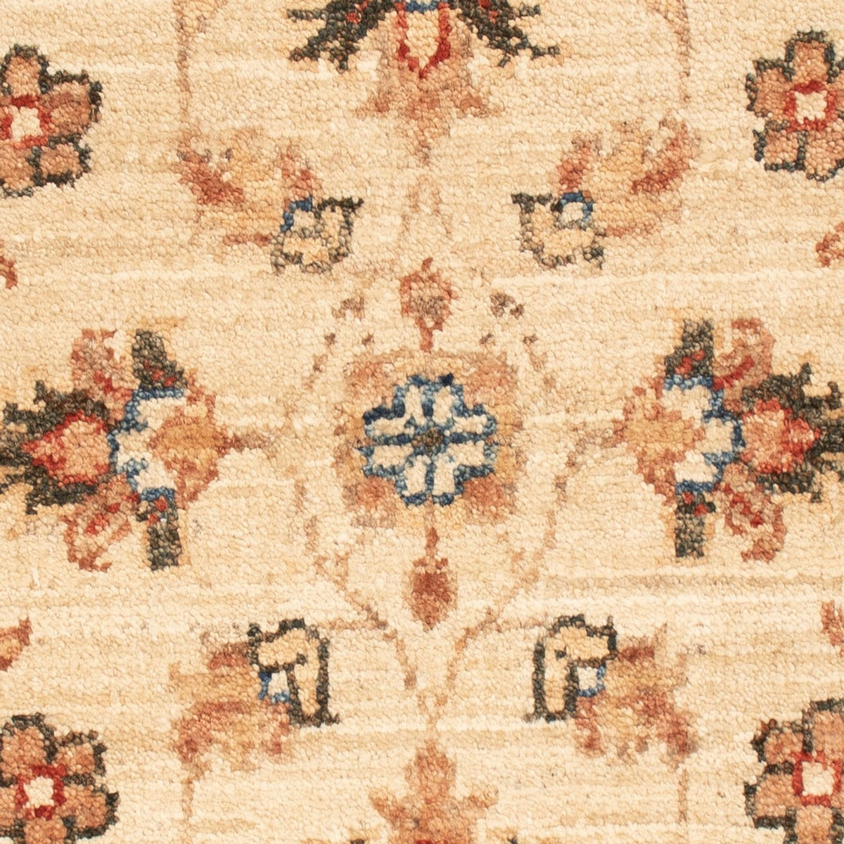 Ziegler Teppich - 66 x 50 cm - beige