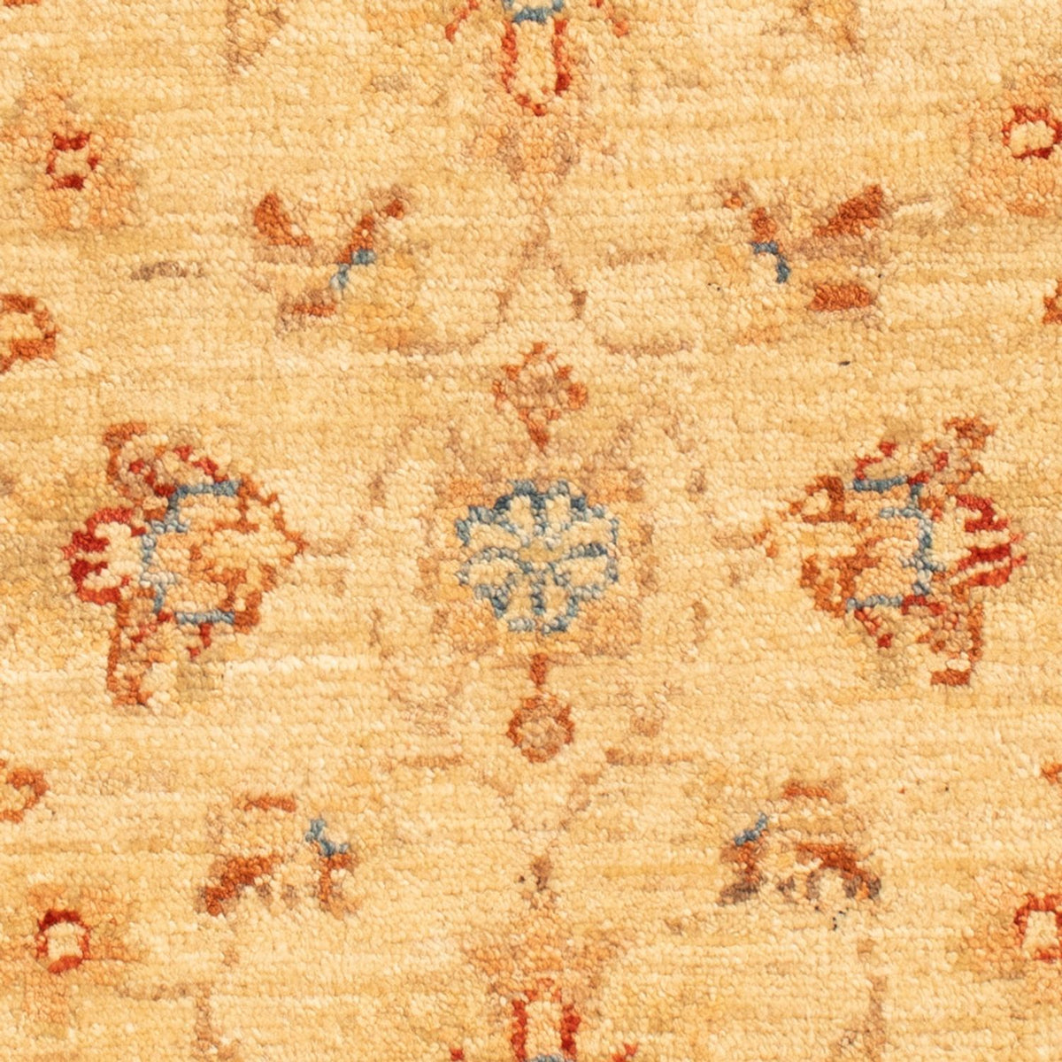 Ziegler Teppich - 70 x 51 cm - beige
