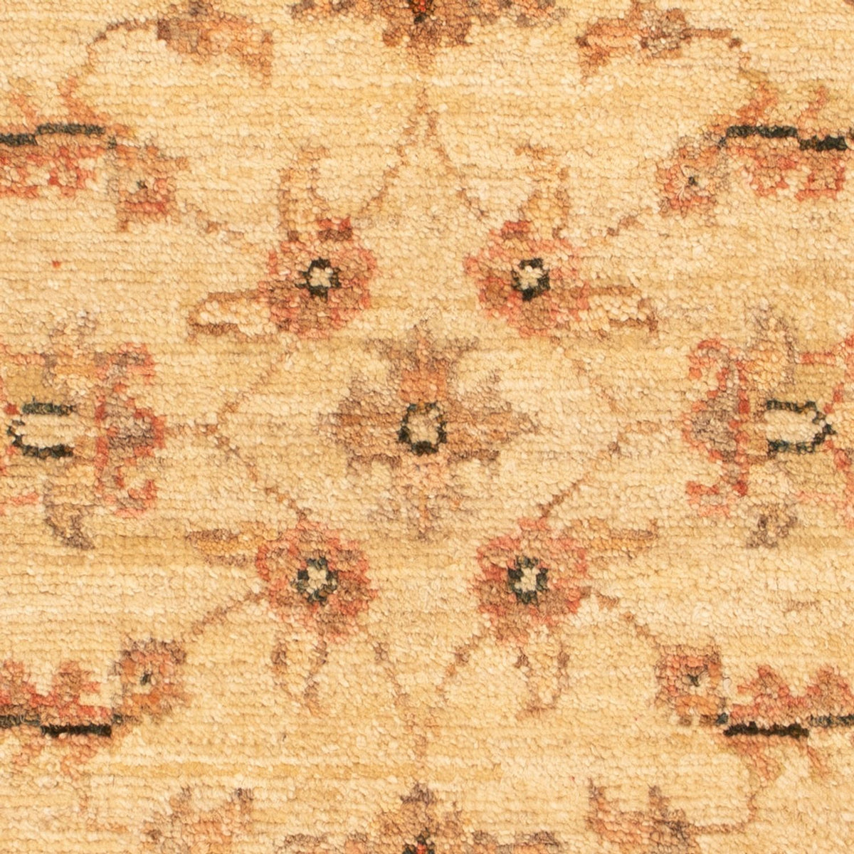 Ziegler Teppich - 69 x 53 cm - beige
