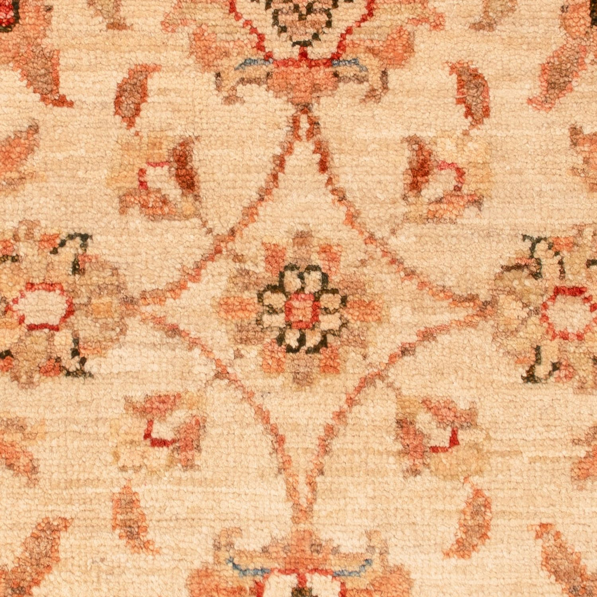 Ziegler Teppich - 70 x 53 cm - beige