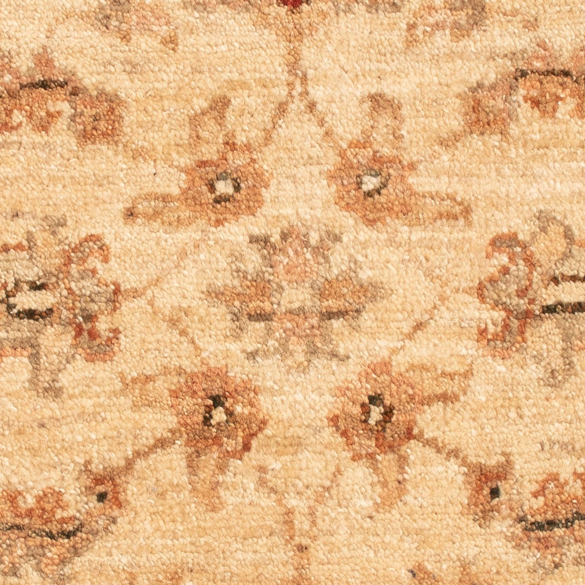 Ziegler Teppich - 66 x 51 cm - beige