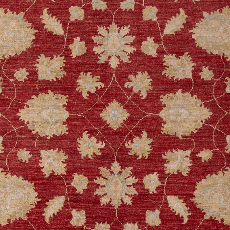 Ziegler Teppich - 299 x 206 cm - dunkelrot