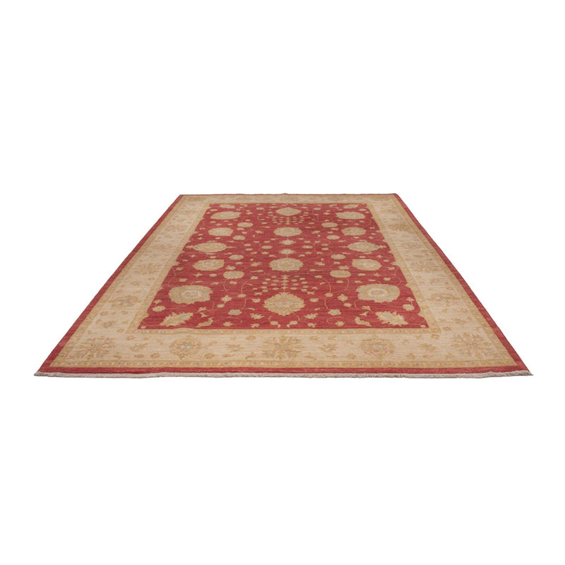 Ziegler Teppich - 320 x 207 cm - dunkelrot
