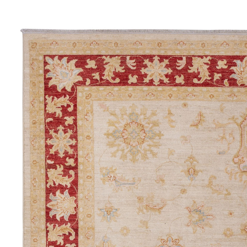 Ziegler Teppich - 288 x 212 cm - beige