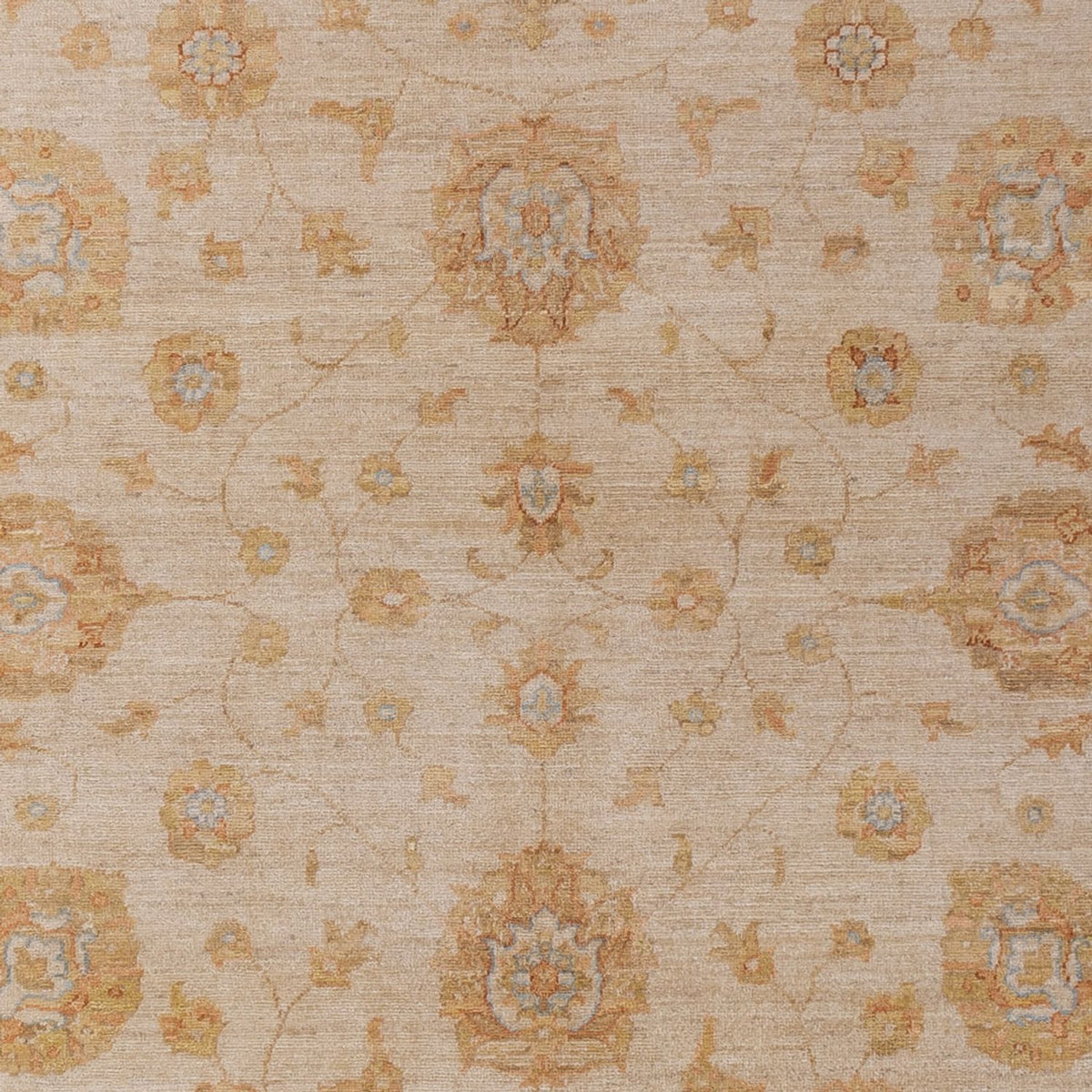 Ziegler Teppich - 298 x 201 cm - beige