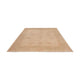 Ziegler Teppich - 297 x 201 cm - beige