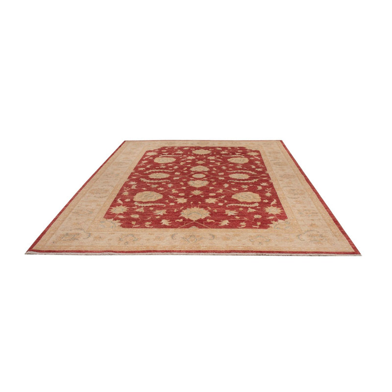 Ziegler Teppich - 290 x 204 cm - dunkelrot