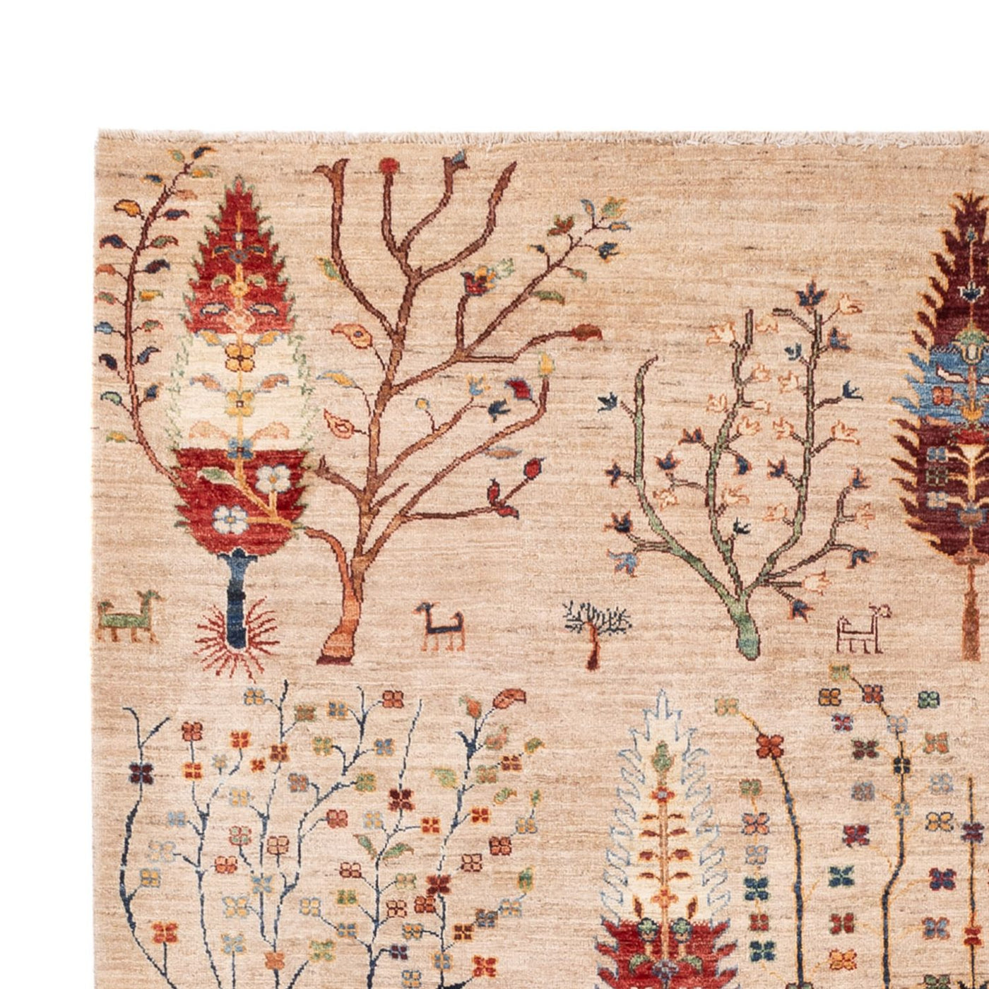 Tapis Ziegler - Ariana - 312 x 212 cm - beige