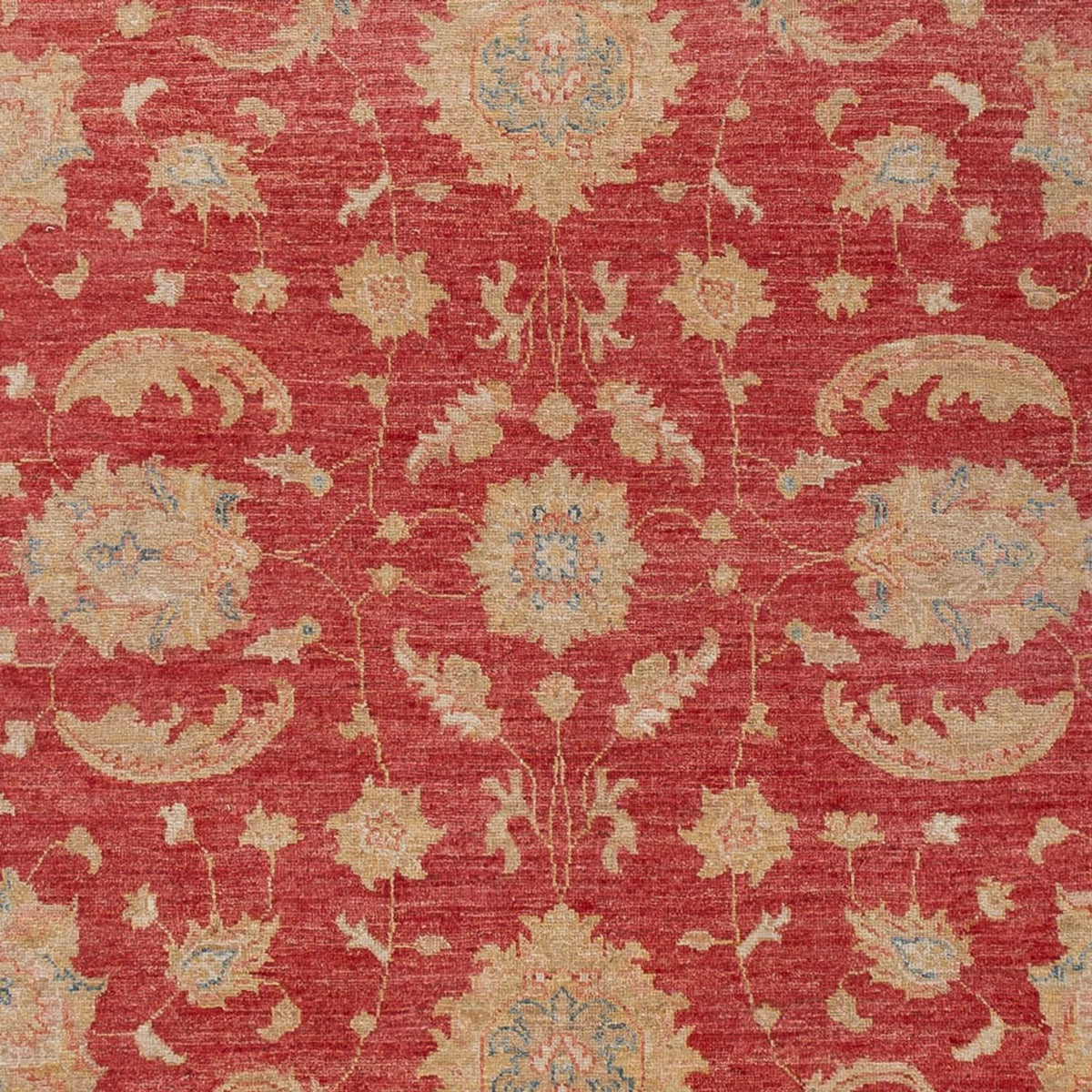 Ziegler Teppich - 297 x 202 cm - rot
