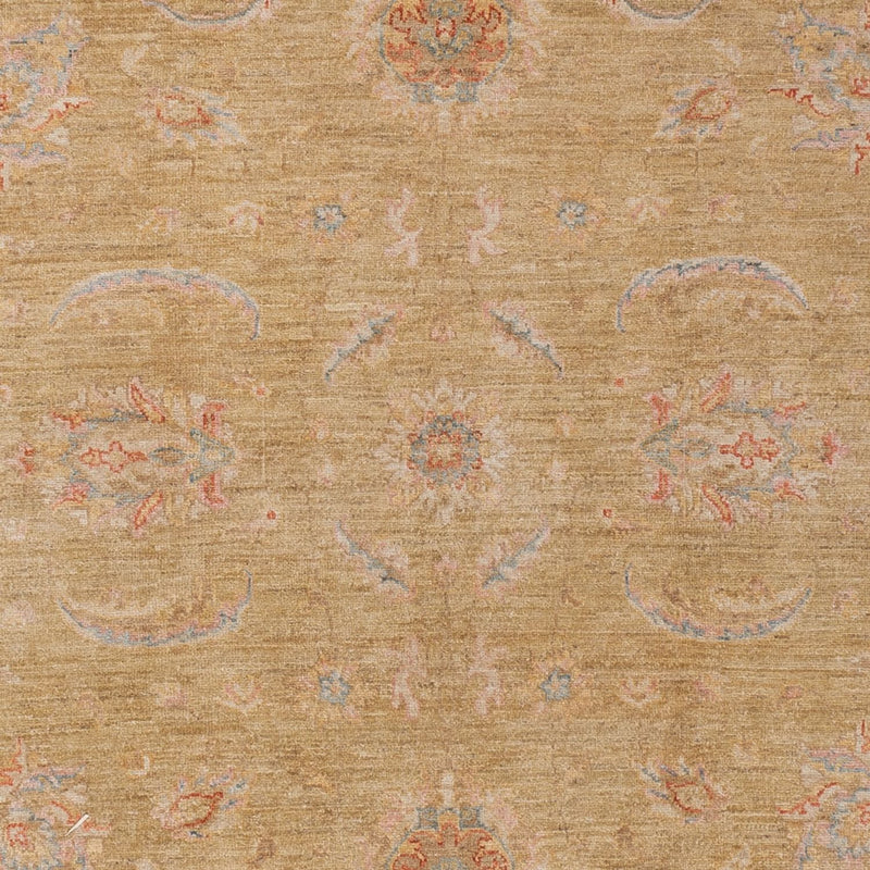 Ziegler Teppich - 298 x 199 cm - gold