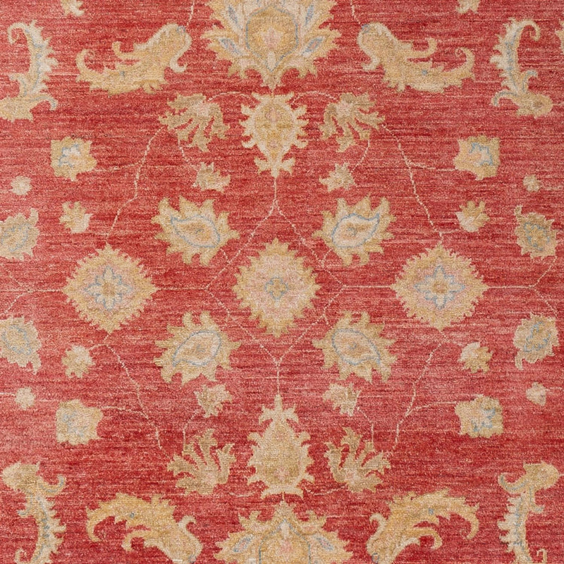 Ziegler Teppich - 303 x 210 cm - rot
