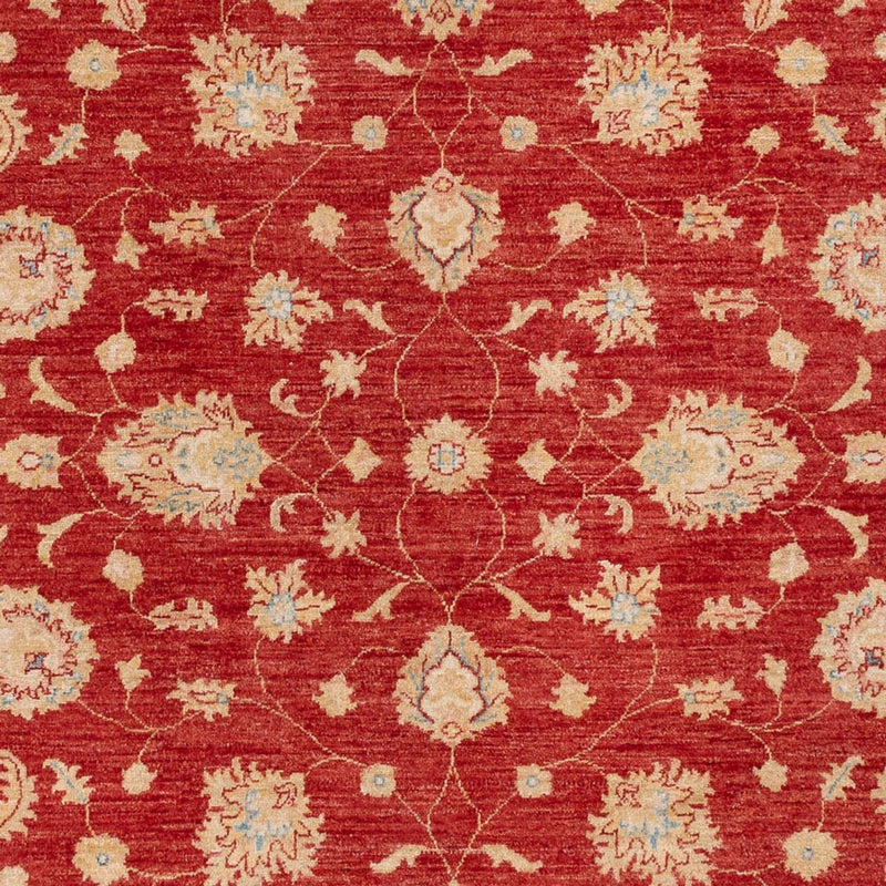 Ziegler Teppich - 295 x 204 cm - rot