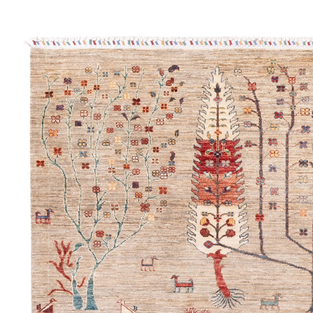 Ziegler Teppich - Ariana - 285 x 207 cm - beige