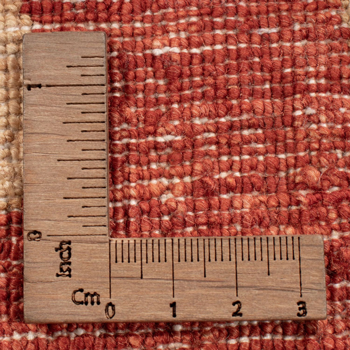 Ziegler Teppich - Ariana - 319 x 212 cm - beige