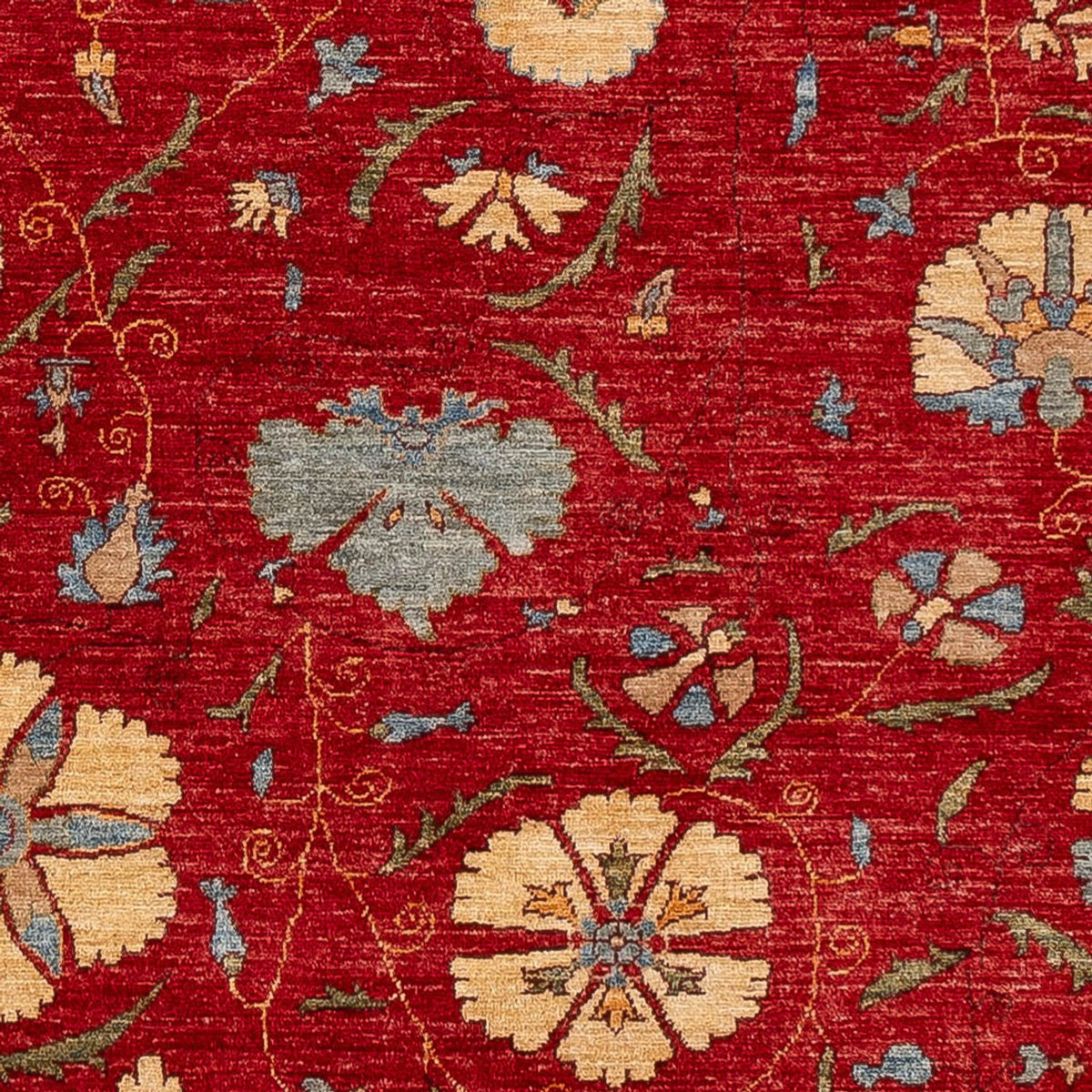 Ziegler Teppich - Ariana - 236 x 172 cm - rot