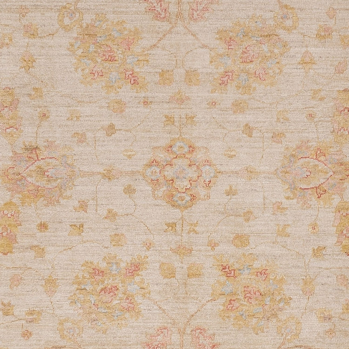 Ziegler Teppich - 314 x 250 cm - beige