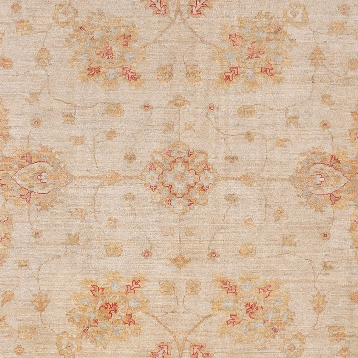 Ziegler Teppich - 319 x 246 cm - beige