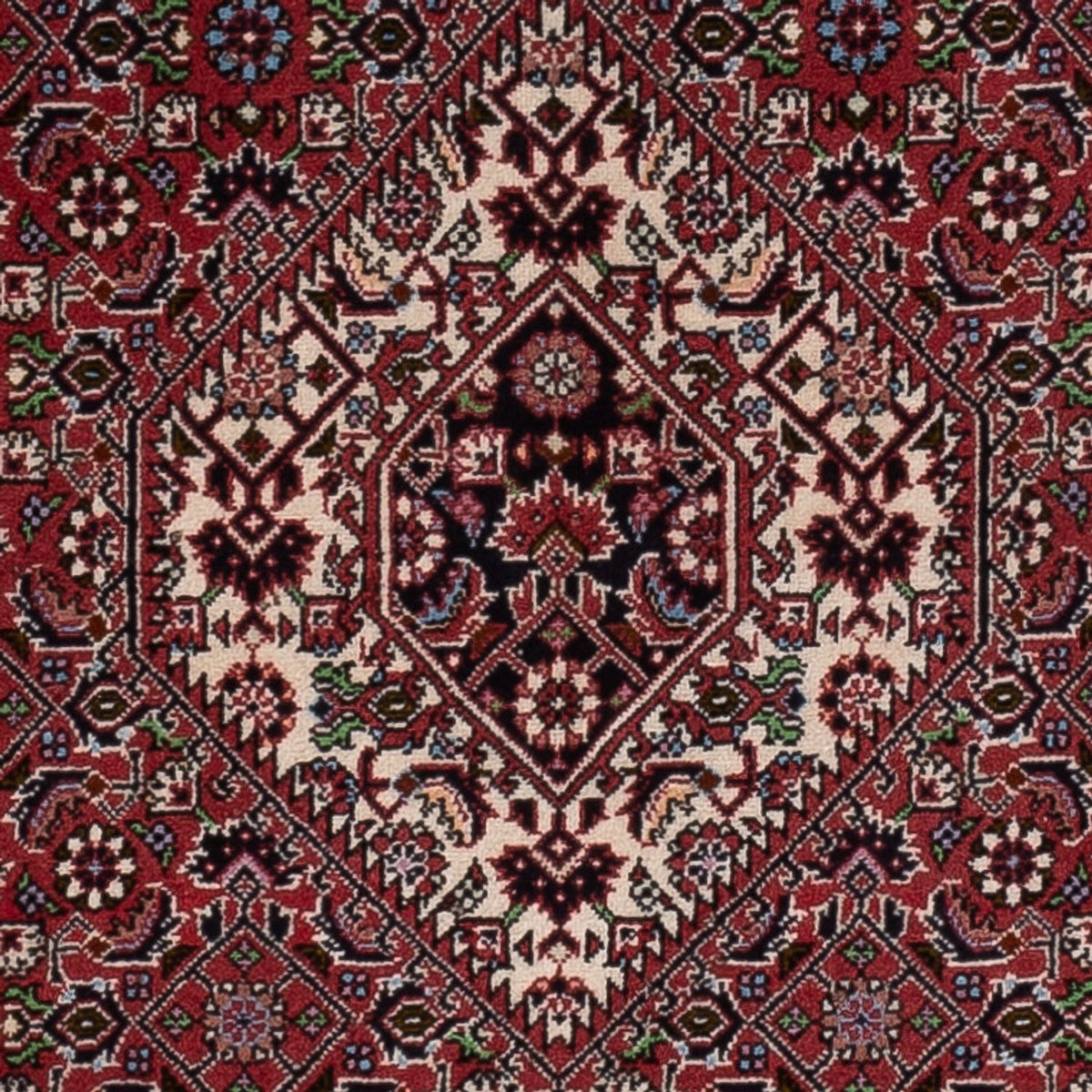 Perserteppich - Bidjar - 172 x 110 cm - rot