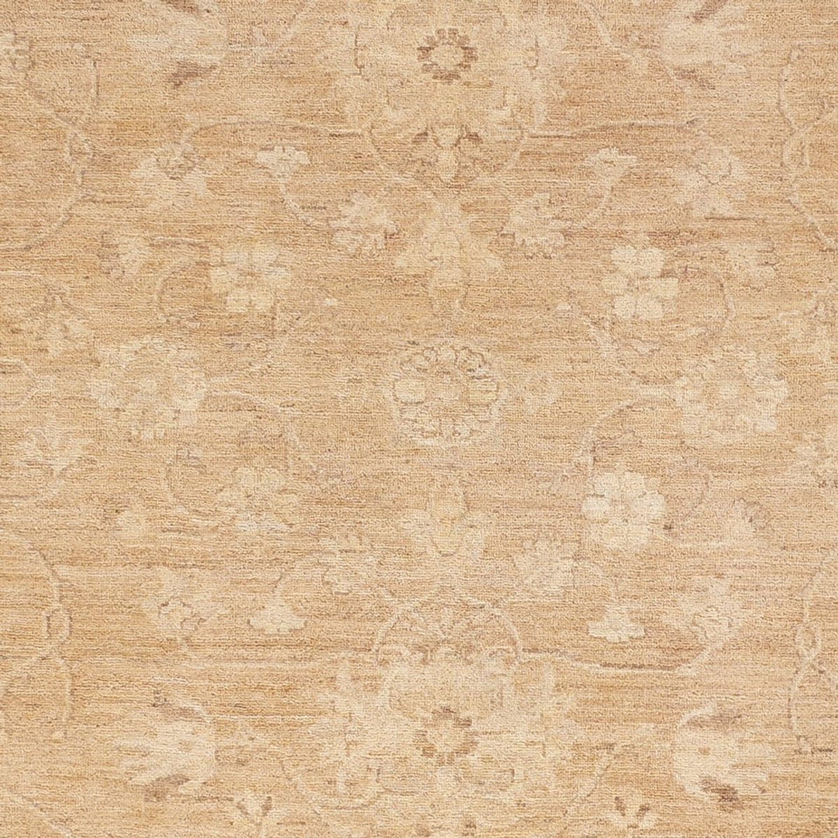 Ziegler Teppich - 305 x 240 cm - caramel