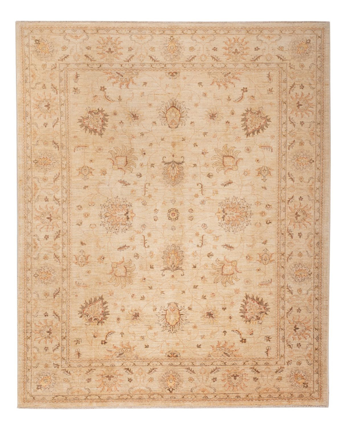 Ziegler Teppich - 298 x 241 cm - beige