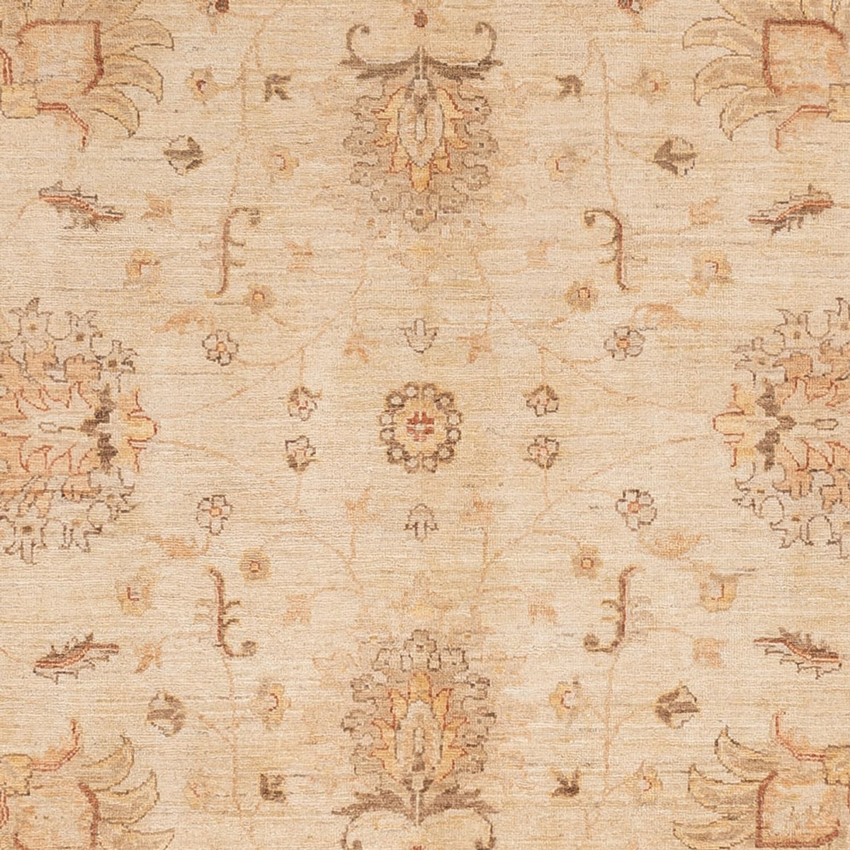 Ziegler Teppich - 298 x 241 cm - beige