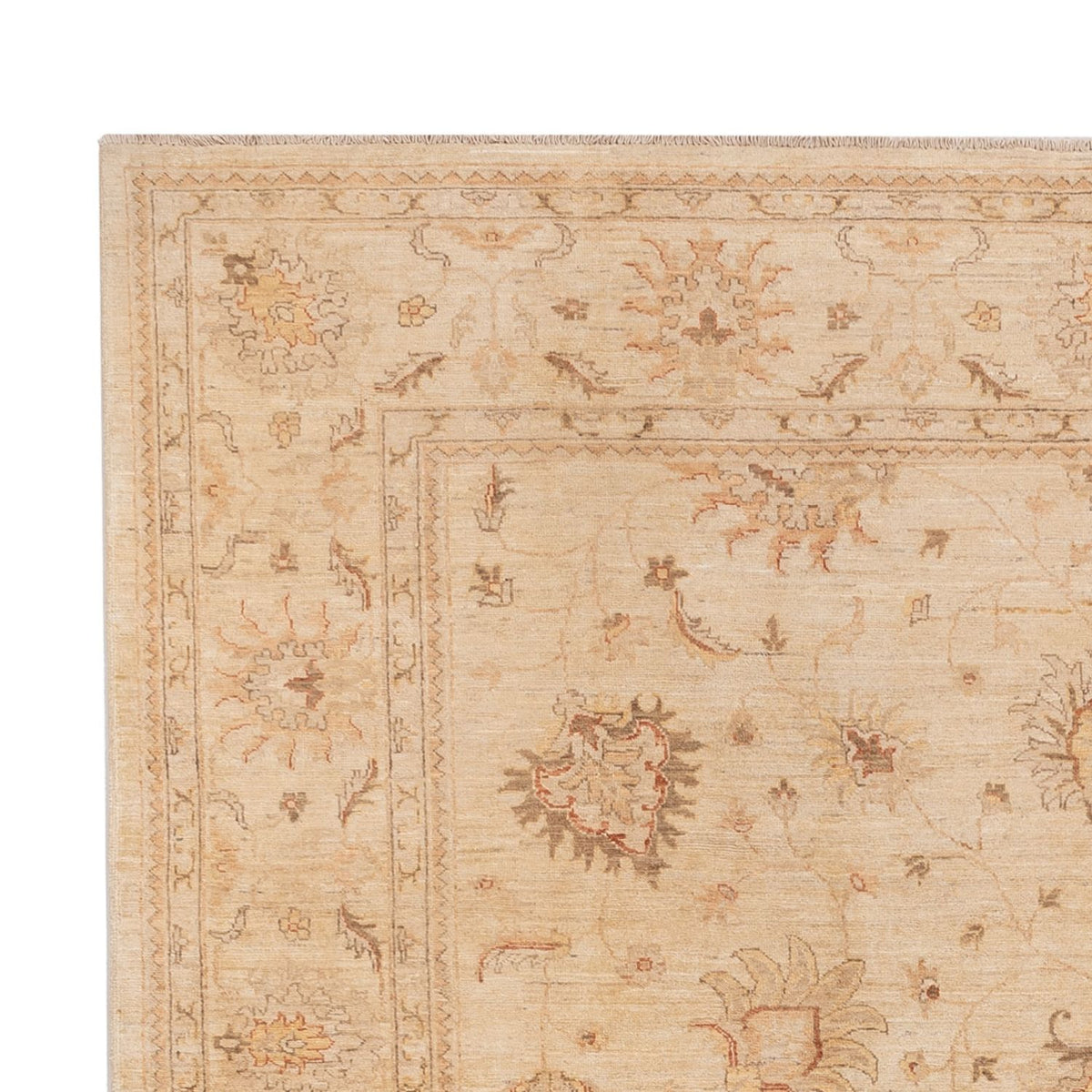 Ziegler Teppich - 298 x 241 cm - beige