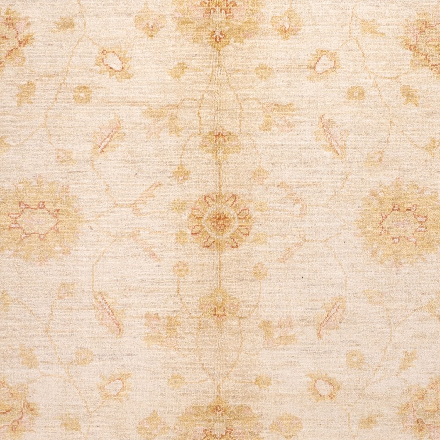 Ziegler Teppich - 294 x 205 cm - beige