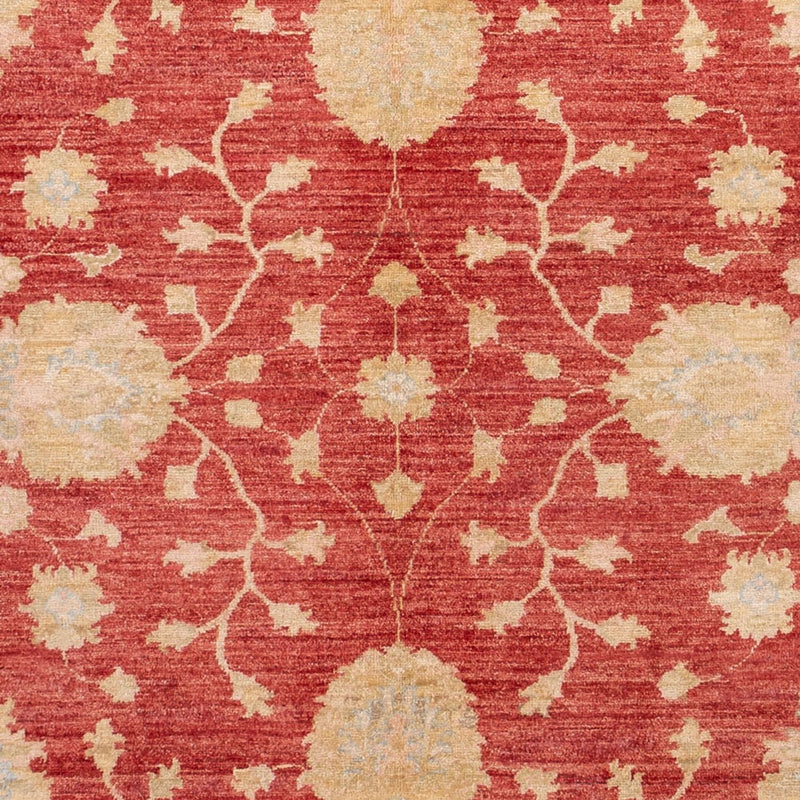 Ziegler Teppich - 291 x 207 cm - rot