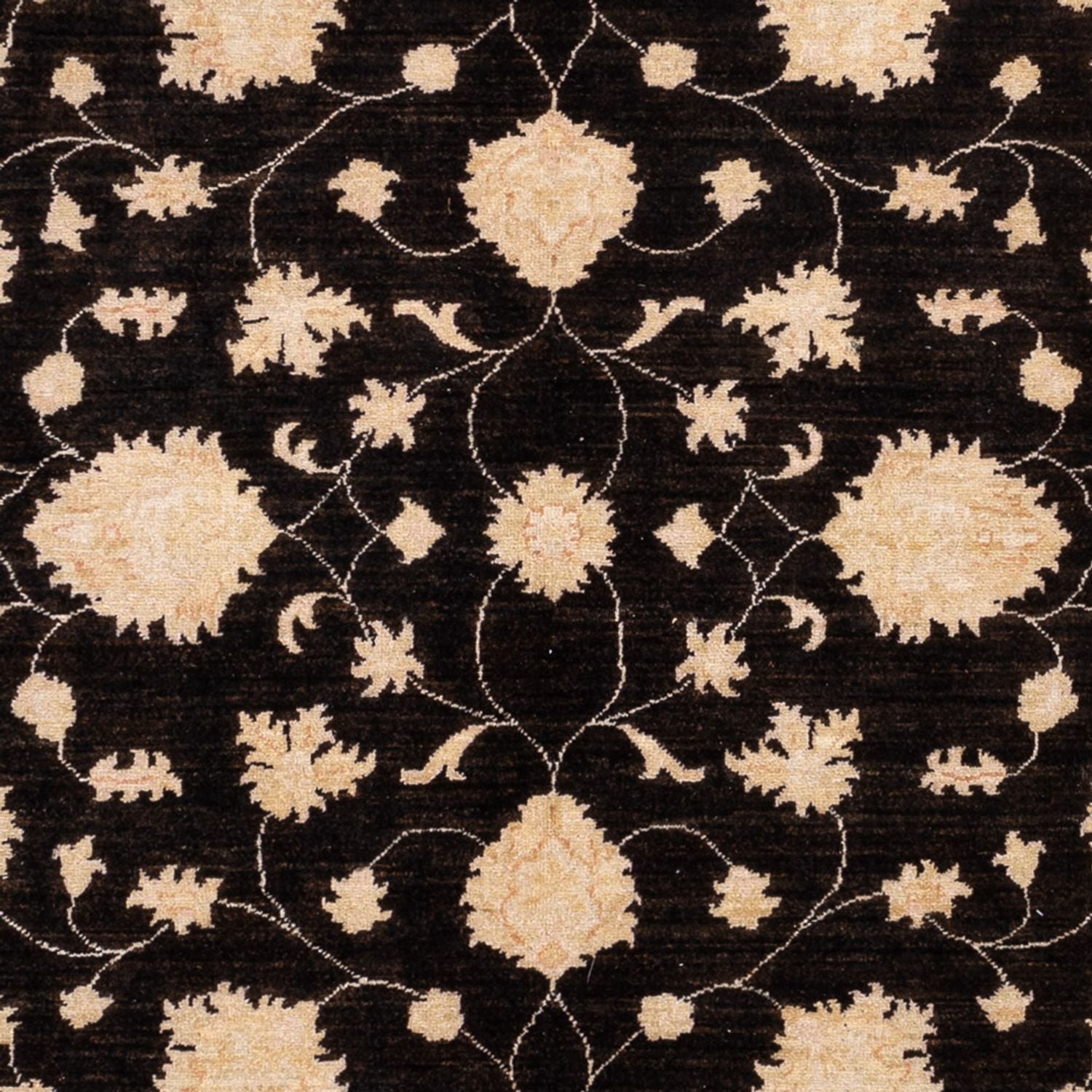 Ziegler Teppich - 291 x 204 cm - schwarz