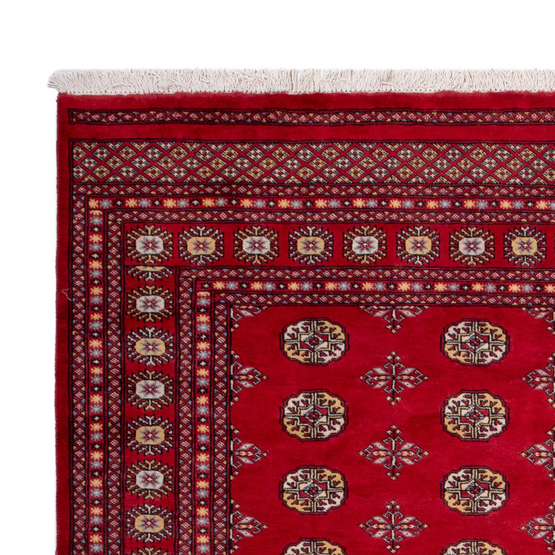 Afghan Teppich - Buchara - 292 x 206 cm - rot