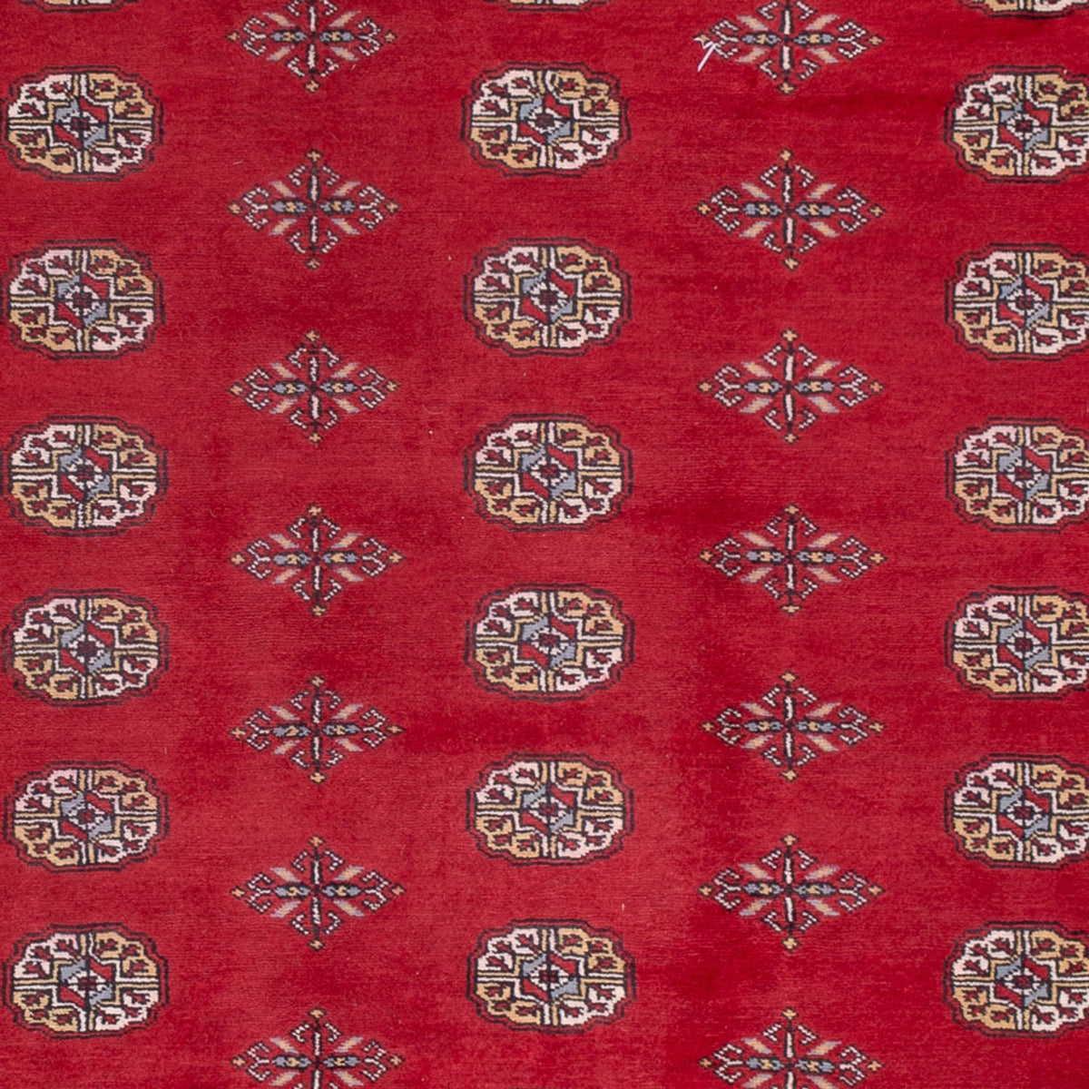 Afghan Teppich - Buchara - 300 x 201 cm - rot